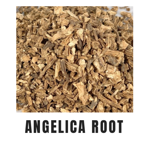 Angelica Root