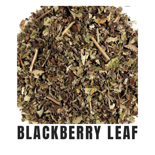 Blackberry Leaf