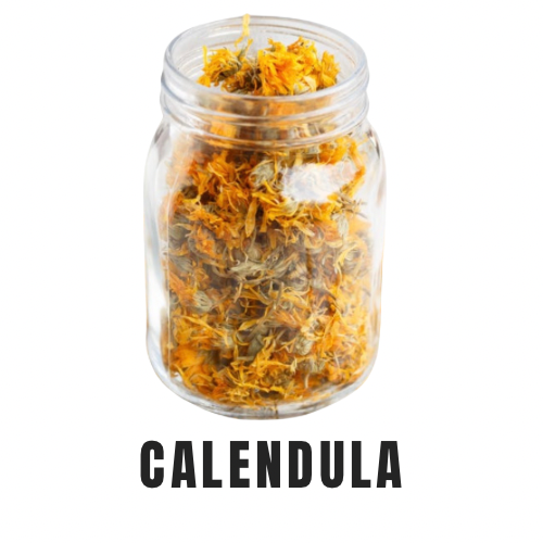 Calendula