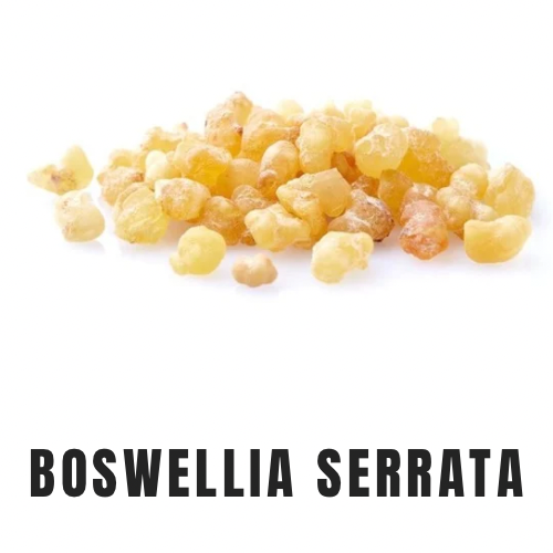 Boswelia Serrata