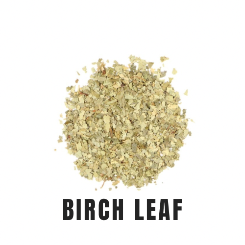 Birch Leaf