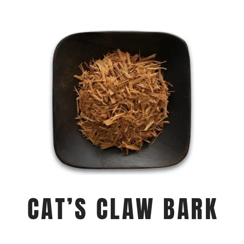 Cat’s Claw Bark