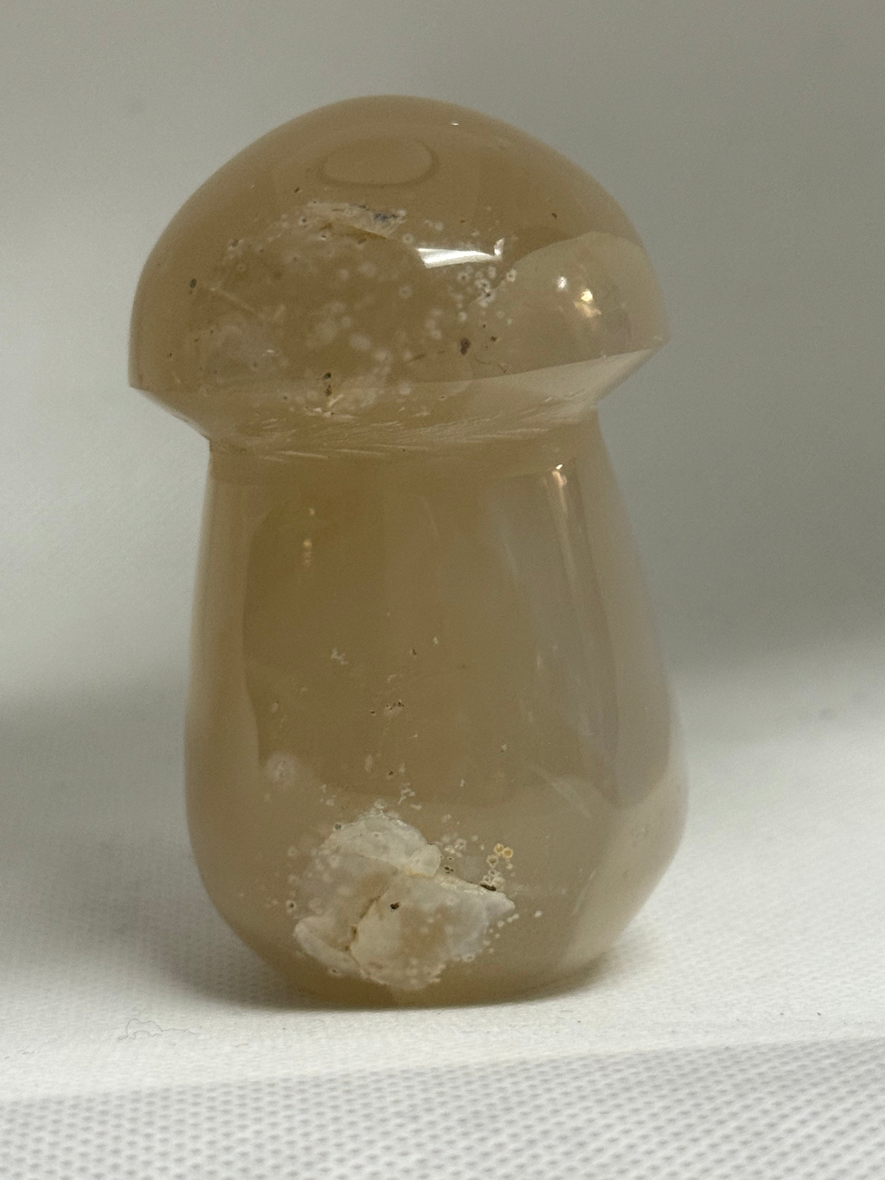 Agate Mushroom Crystal