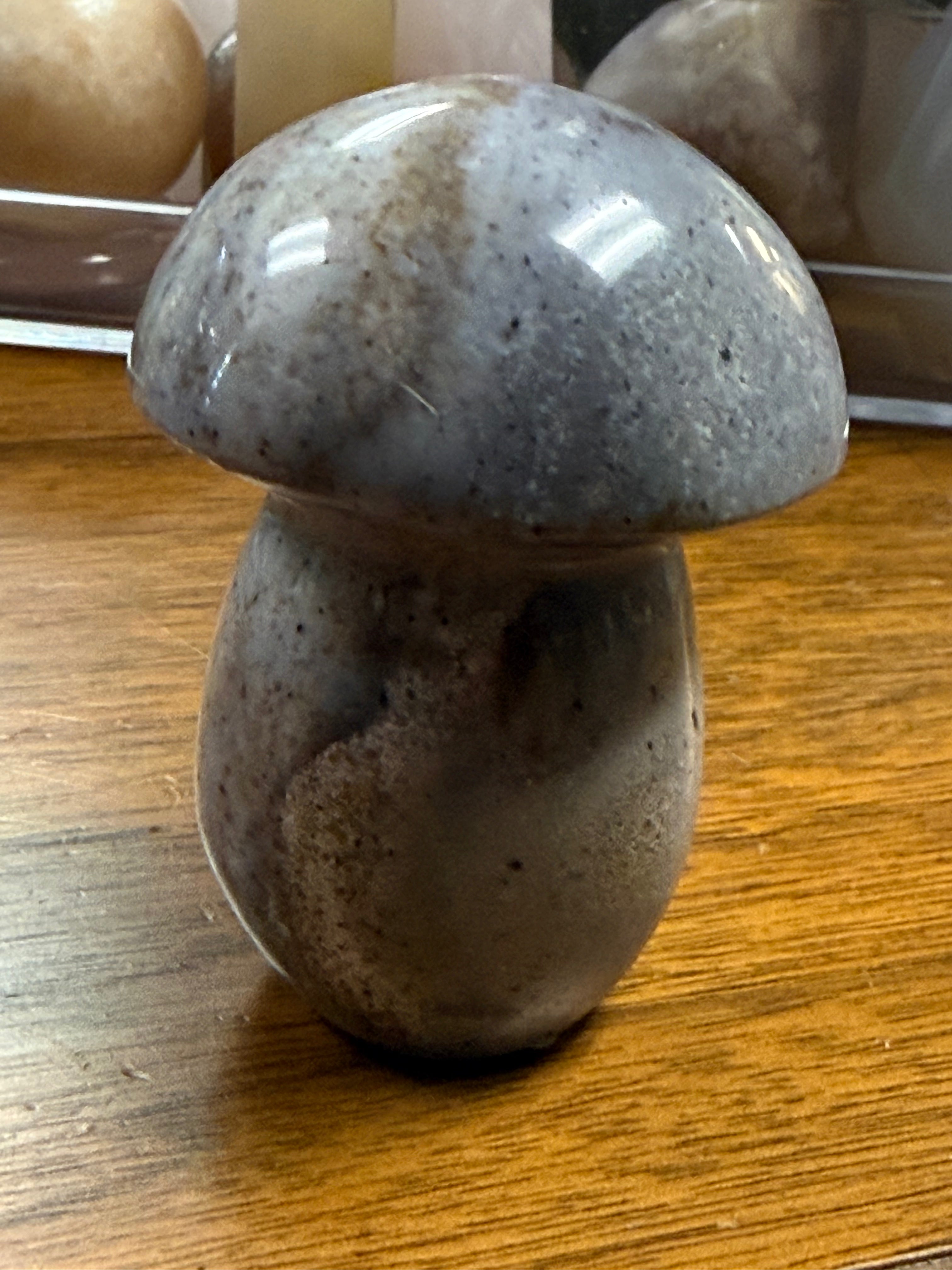 Ocean Jasper Crystal Mushroom