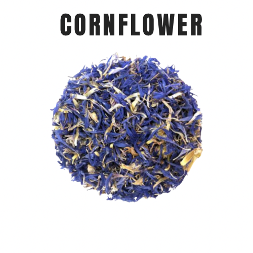 Cornflower