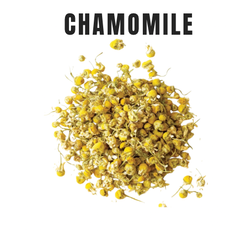 Chamomile