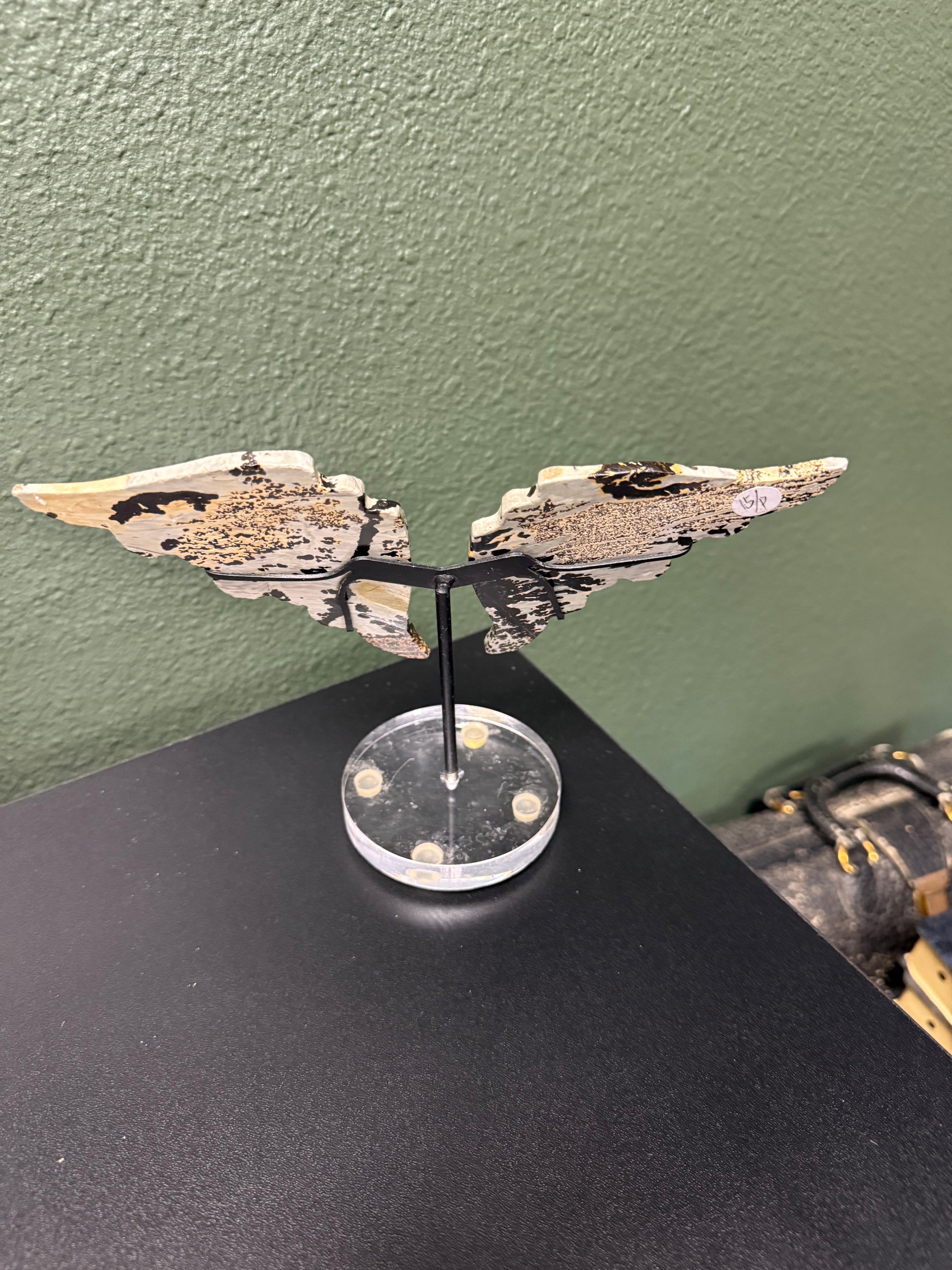 Ocean Jasper Angel Wings with Stand