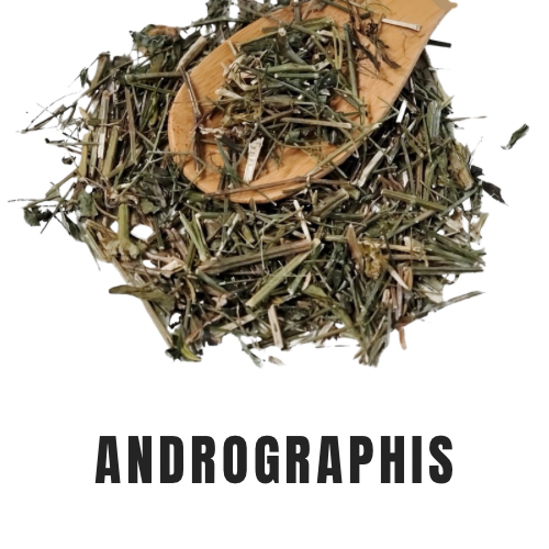 Andrographis (Chuan Xin Lian)